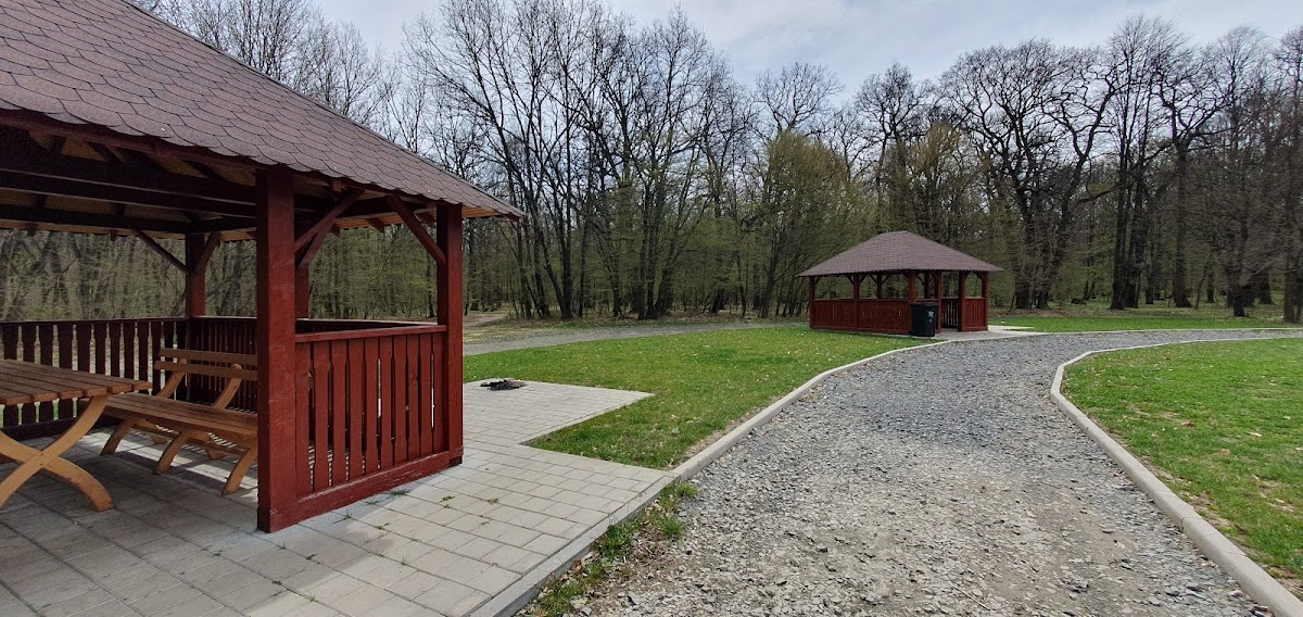 Loc de grătar - Șelimbăr - foto 5