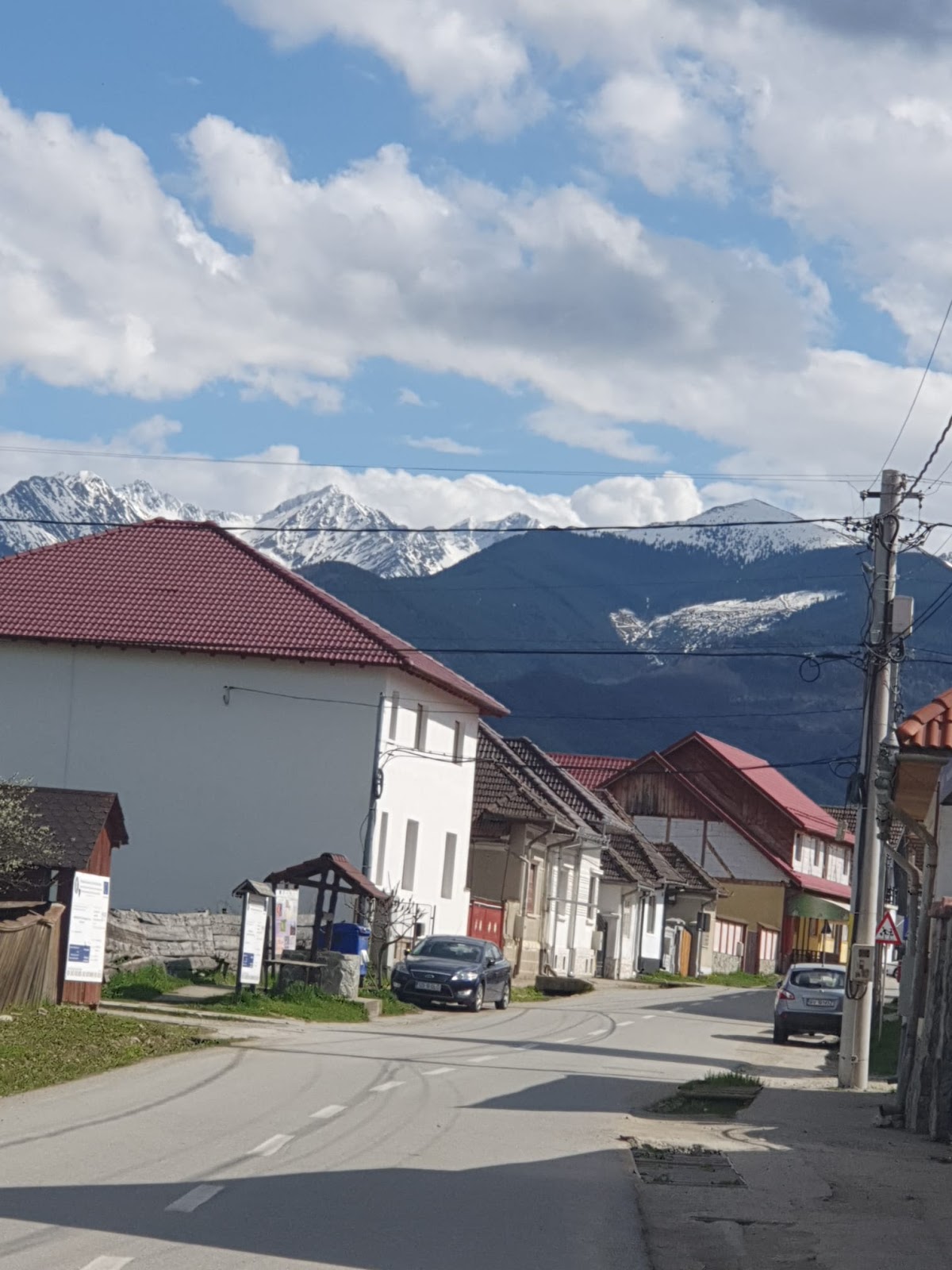 Los Primos - cazare in Arpasu de Sus - foto 1