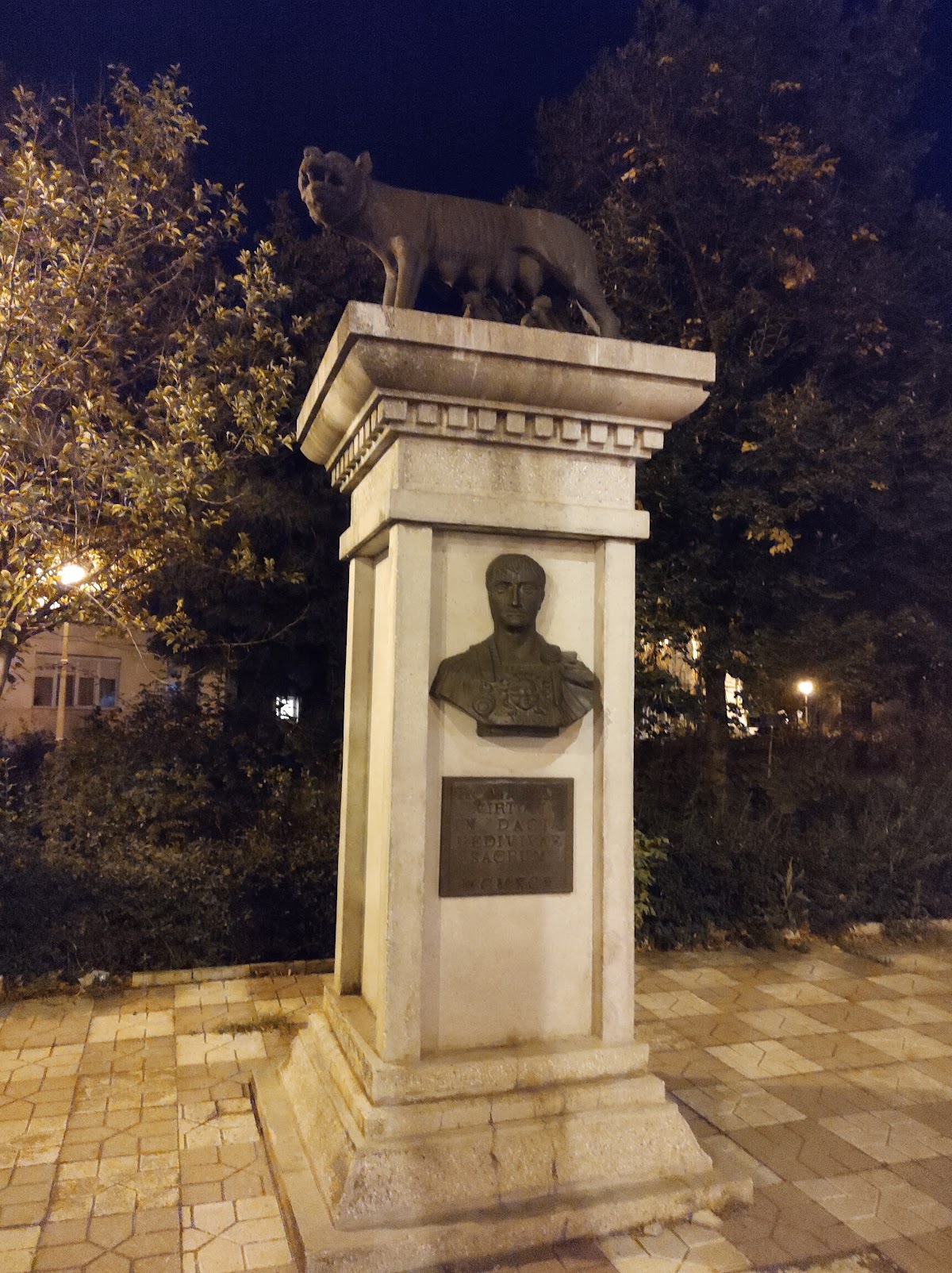 Capitoline Wolf in Galați - foto 4