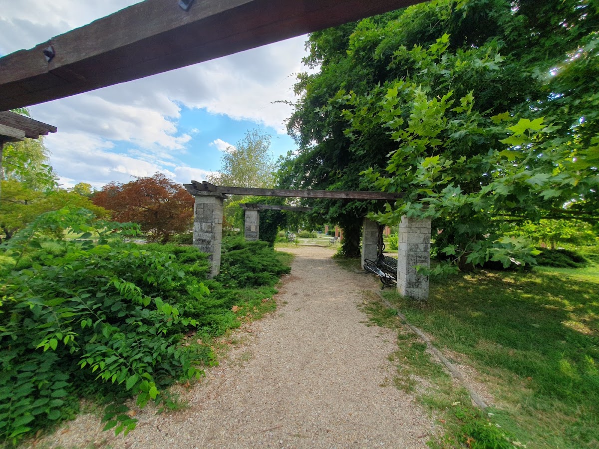 Lupta lui Hercule cu Centaurul - foto 2