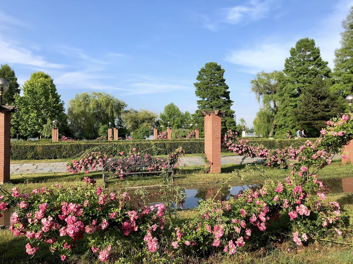 Lupta lui Hercule cu Centaurul - foto 3