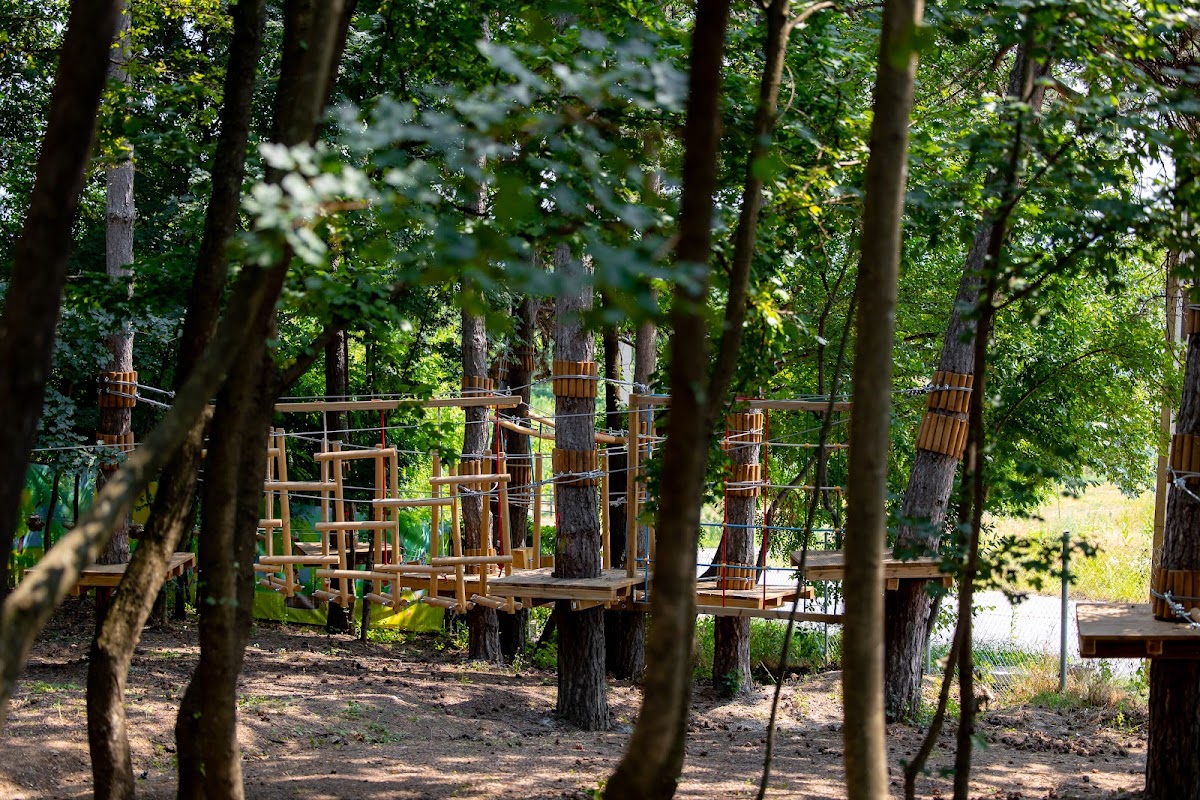Magic WoodLand - foto 2