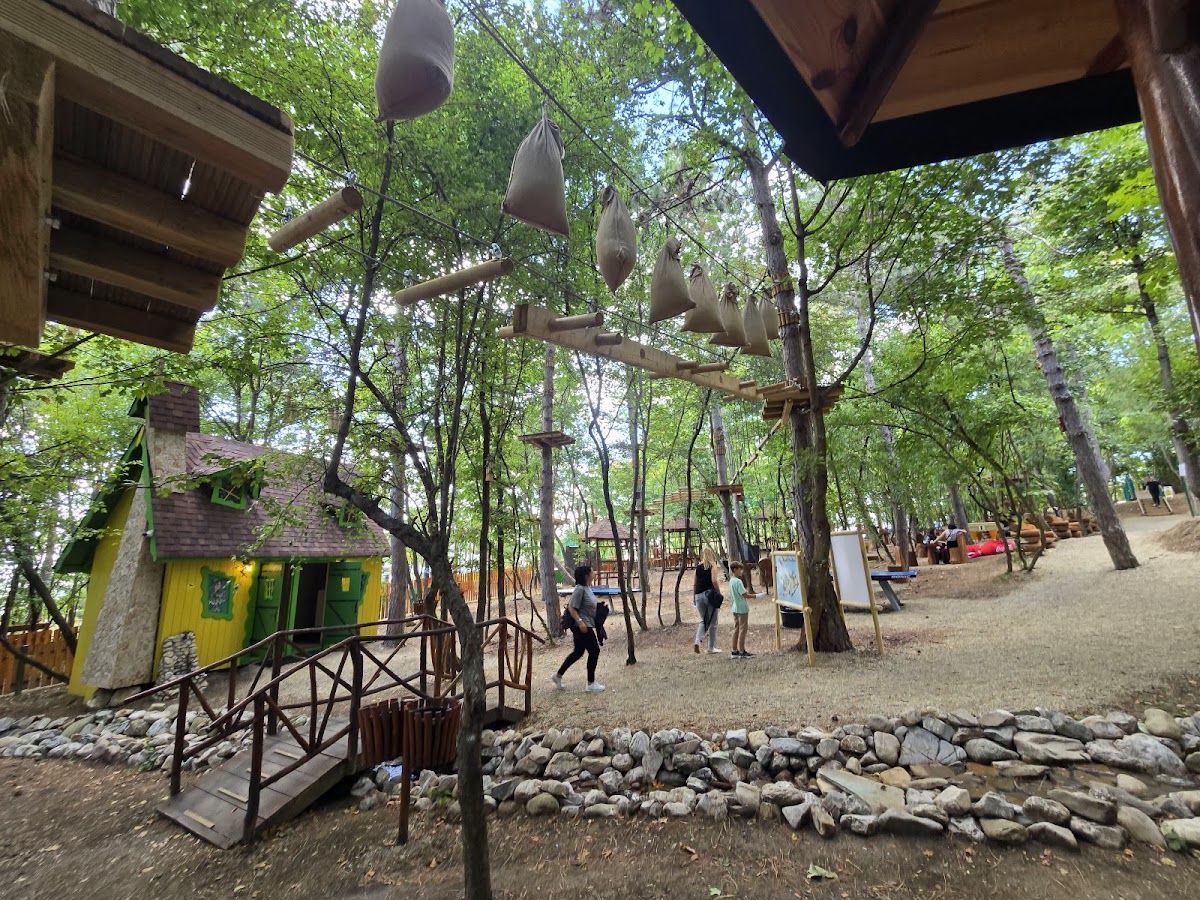 Magic WoodLand - foto 3