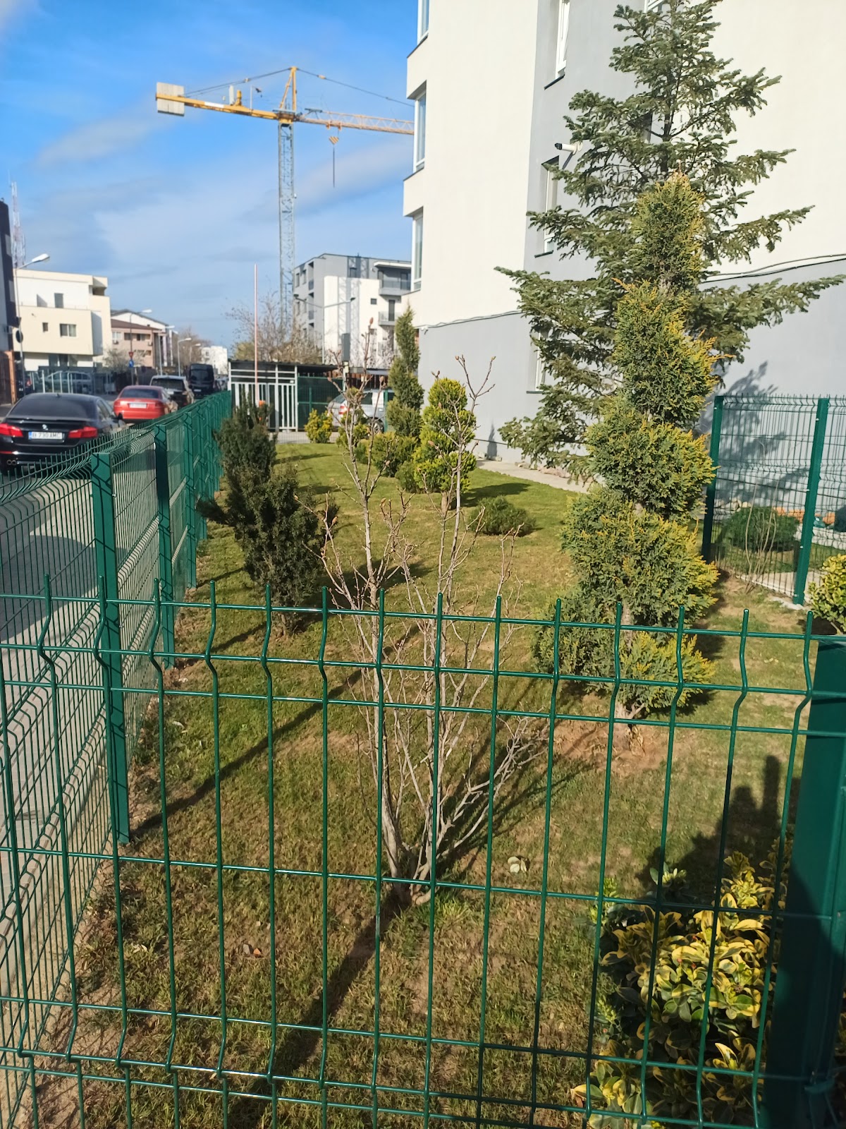 Magnolie - foto 2
