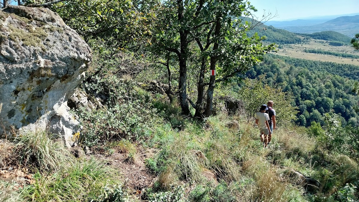 Măgura Bătarci - foto 2