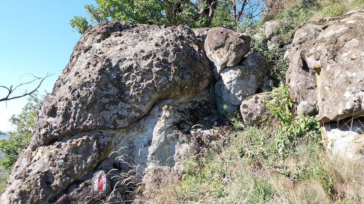 Măgura Bătarci - foto 3