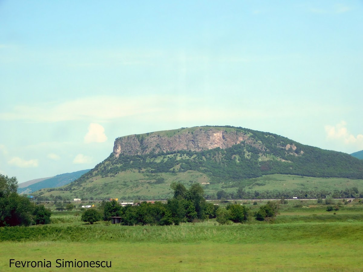 Măgura Uroiului - foto 2