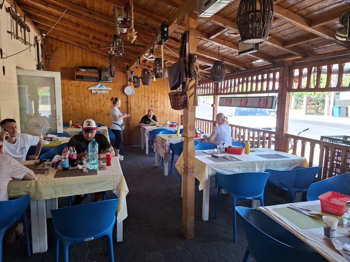 Maia Bursucu - foto 1