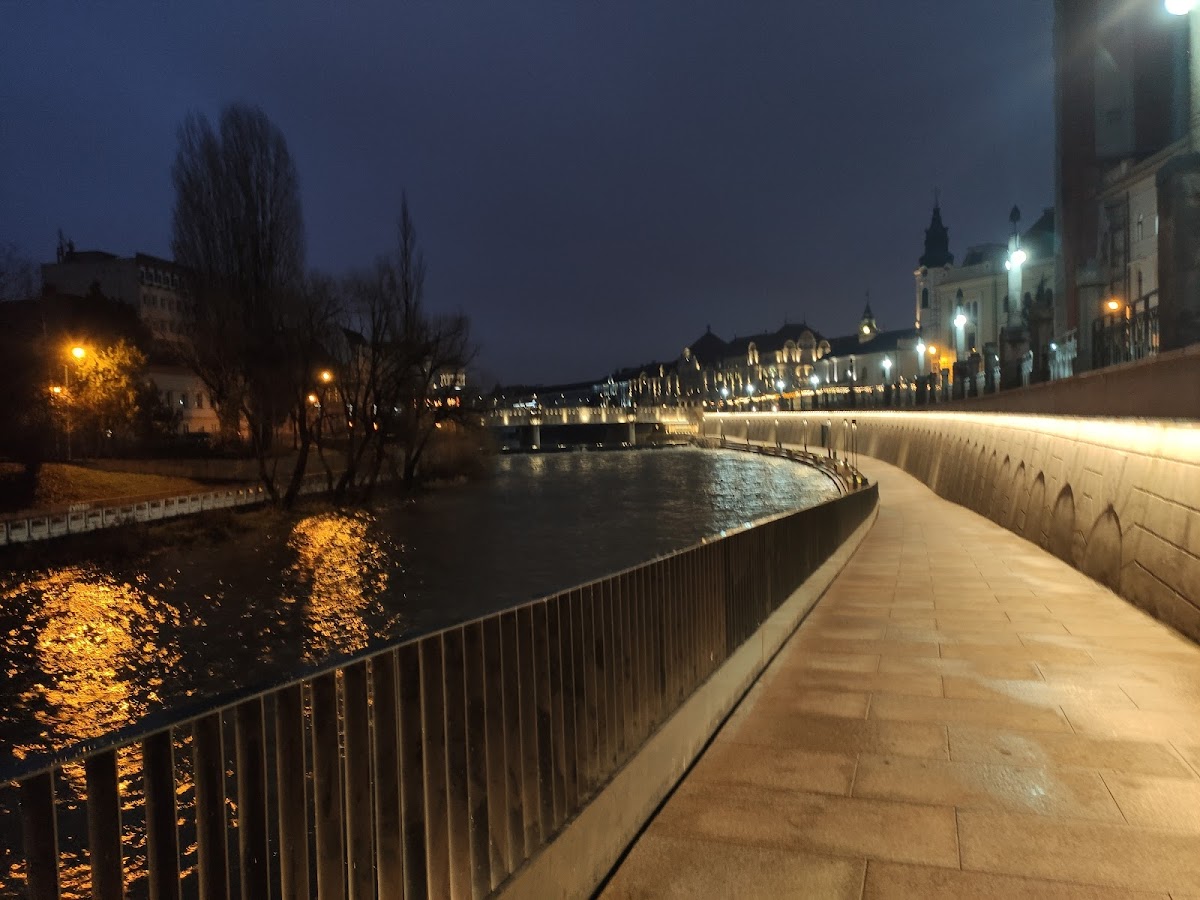 Malul Crișului Repede, Oradea