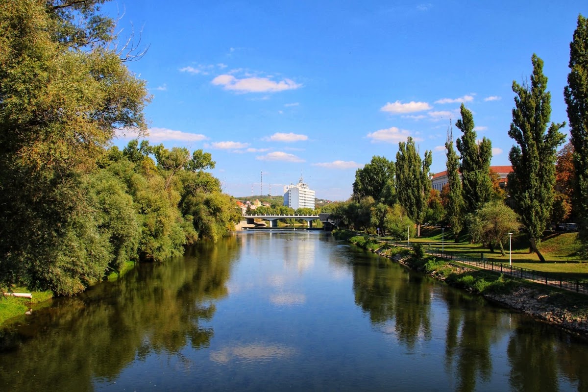 Malul Crișului Repede - foto 3