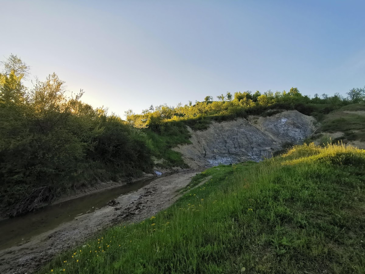 Malul cu sare - foto 5