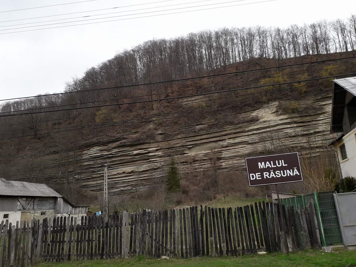Malul de Răsună