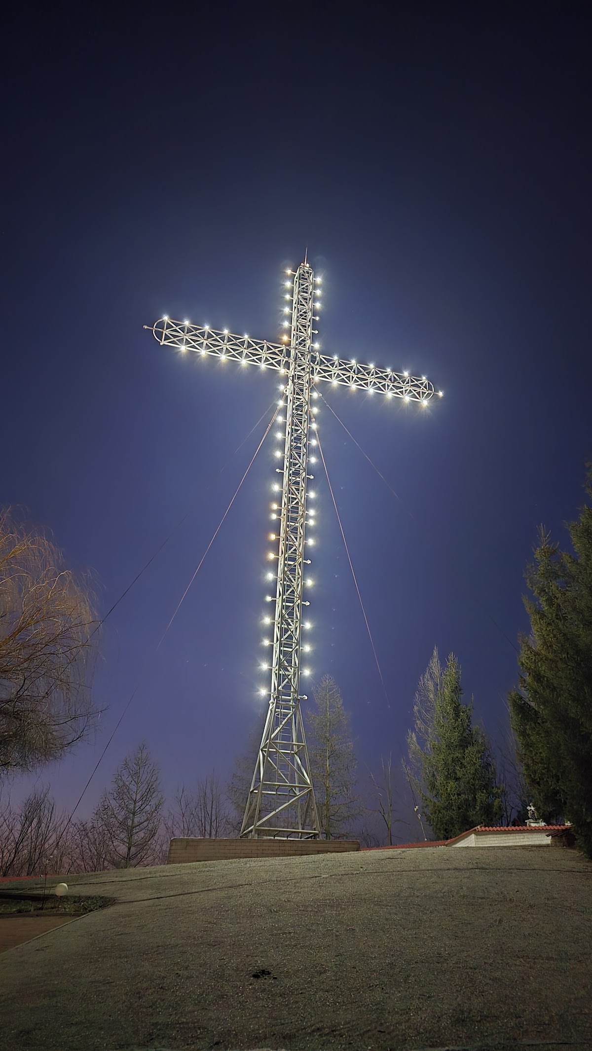 Monastery "The Covering of the Mother of God" Valea Budului - foto 2