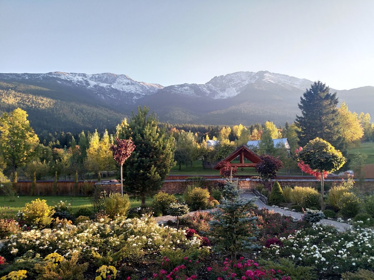 Mănăstirea Borșa Pietroasa - foto 5