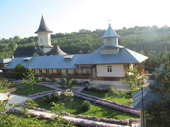 Mănăstirea Brazi - foto 2