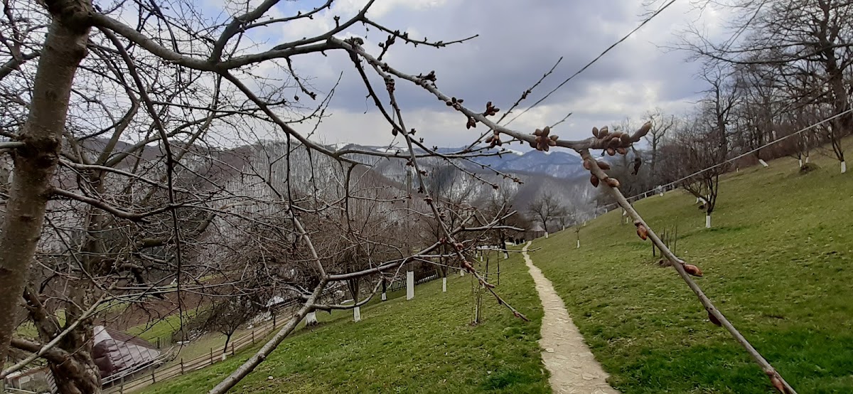 Monasterio Călene - foto 4