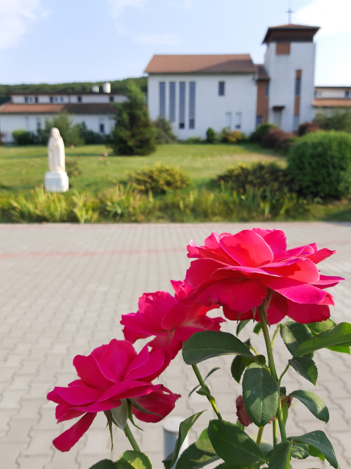 Mănăstirea Carmelită Sfânta Tereza - foto 2