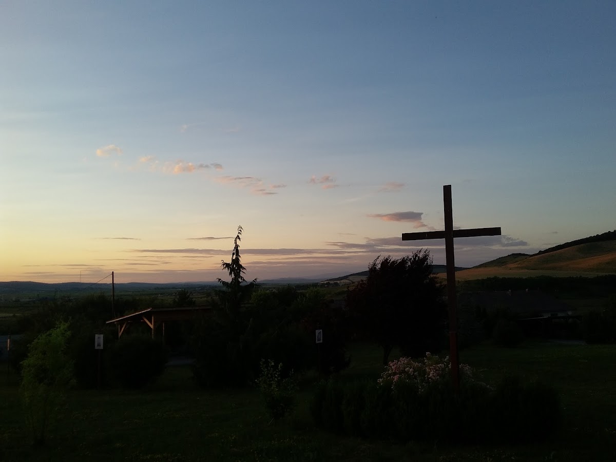 Mănăstirea Carmelită Sfânta Tereza - foto 3