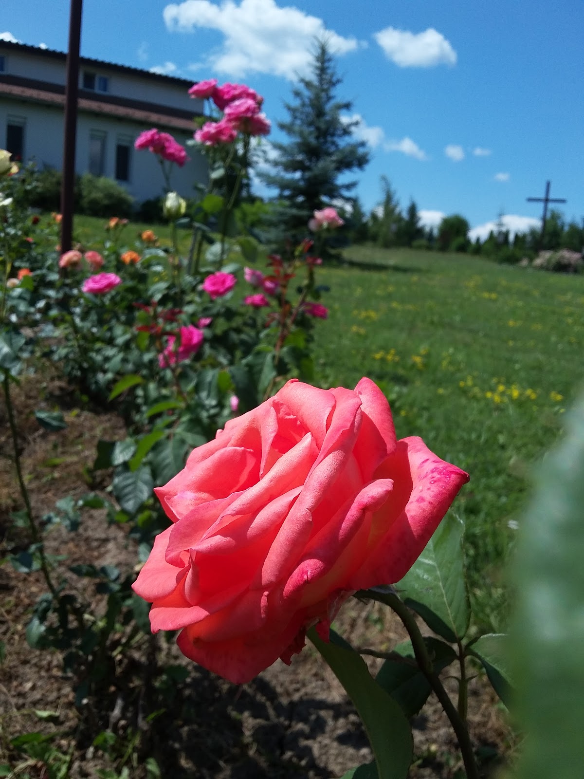 Mănăstirea Carmelită Sfânta Tereza - foto 4
