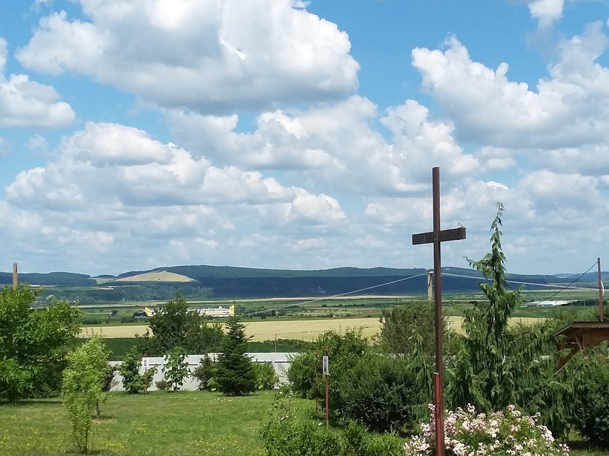 Mănăstirea Carmelită Sfânta Tereza - foto 5