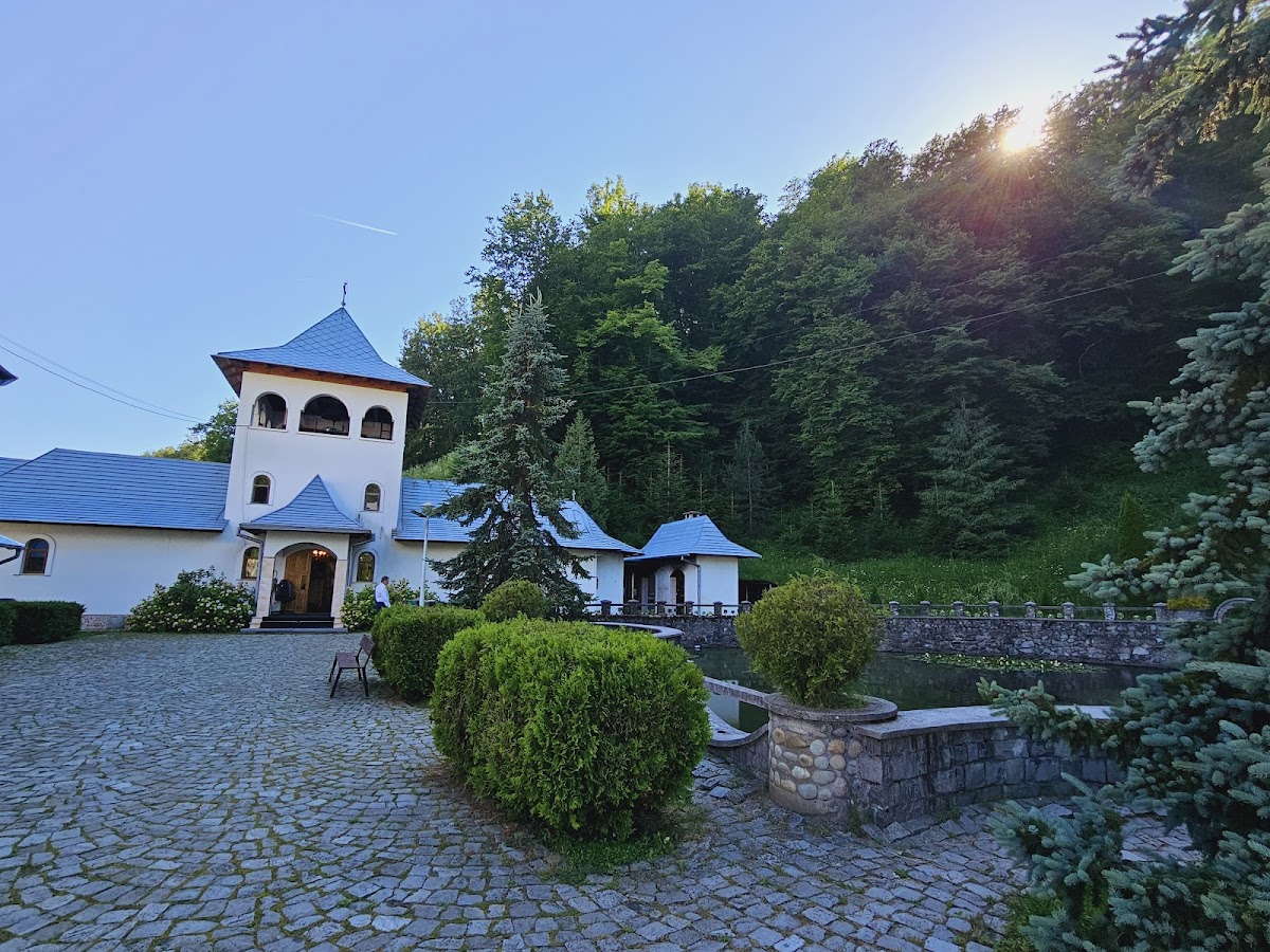 Mănăstirea Crișan - foto 4