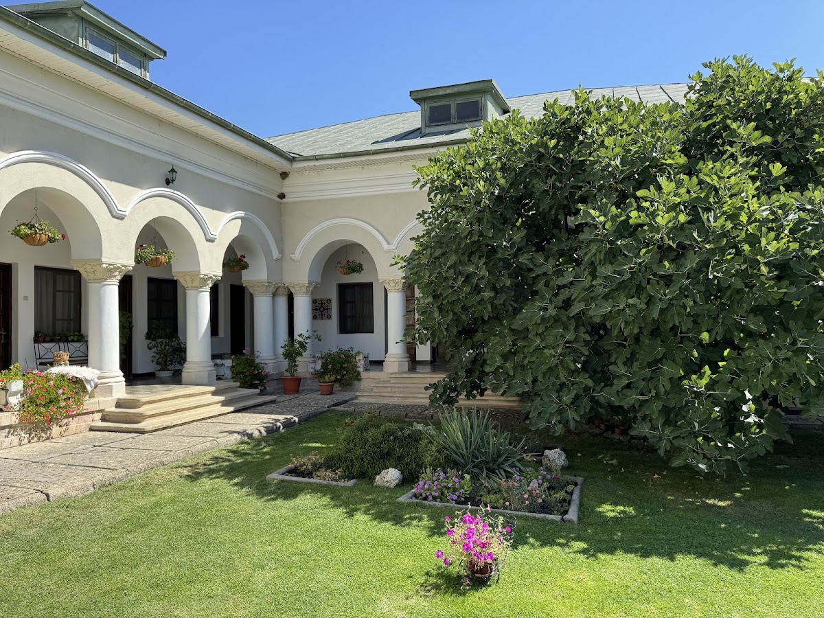 Mănăstirea Dealu - foto 3