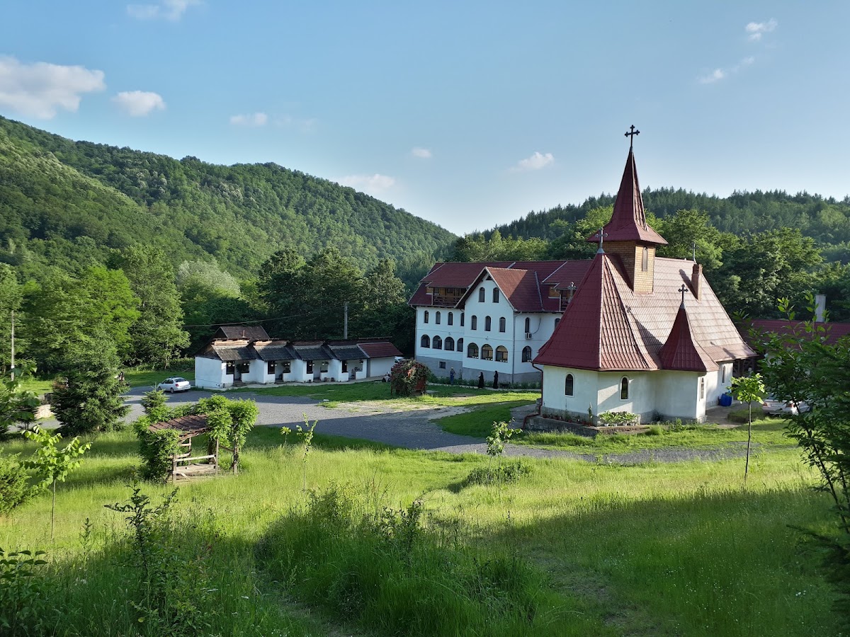 Mânăstirea Fârdea, Timişoara