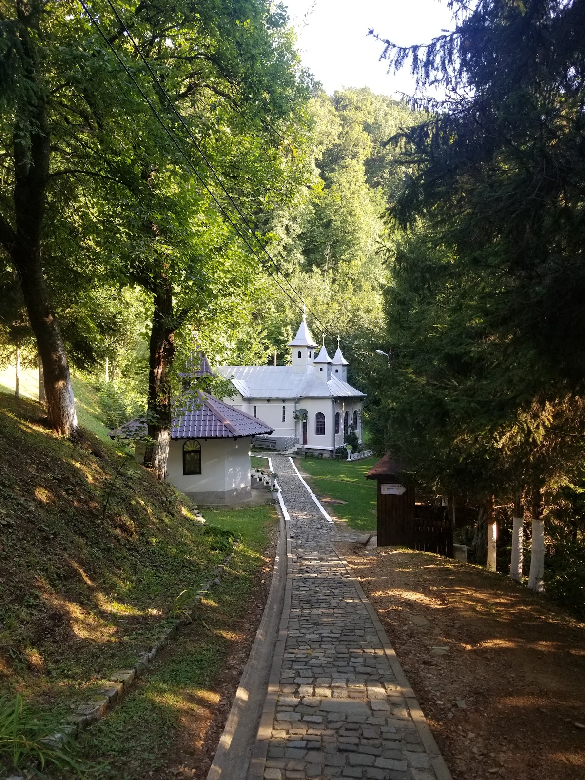 Mănăstirea Feredeu - Deal - foto 4