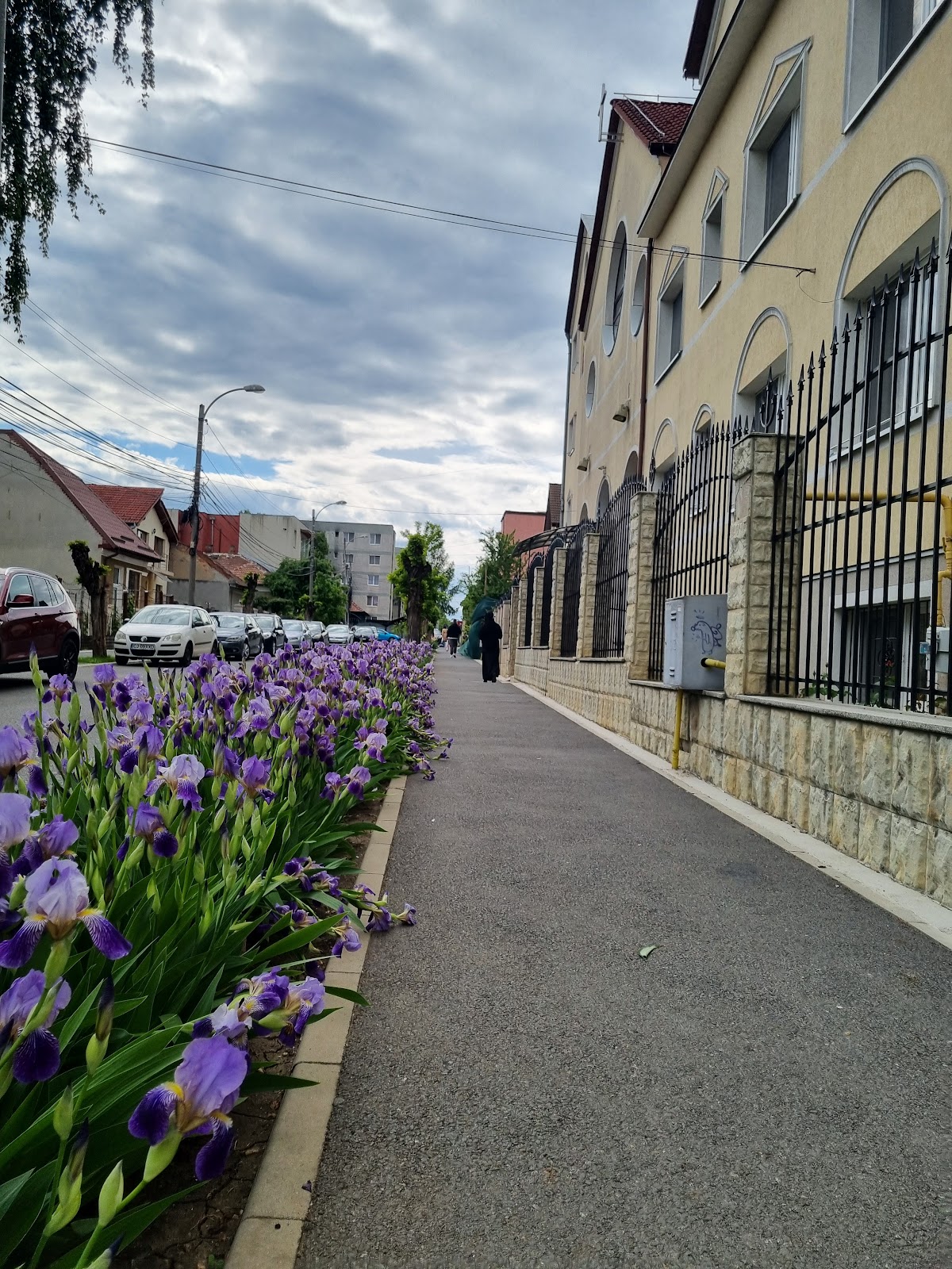 Mănăstirea Greco-Catolică Sfânta Macrina - foto 5