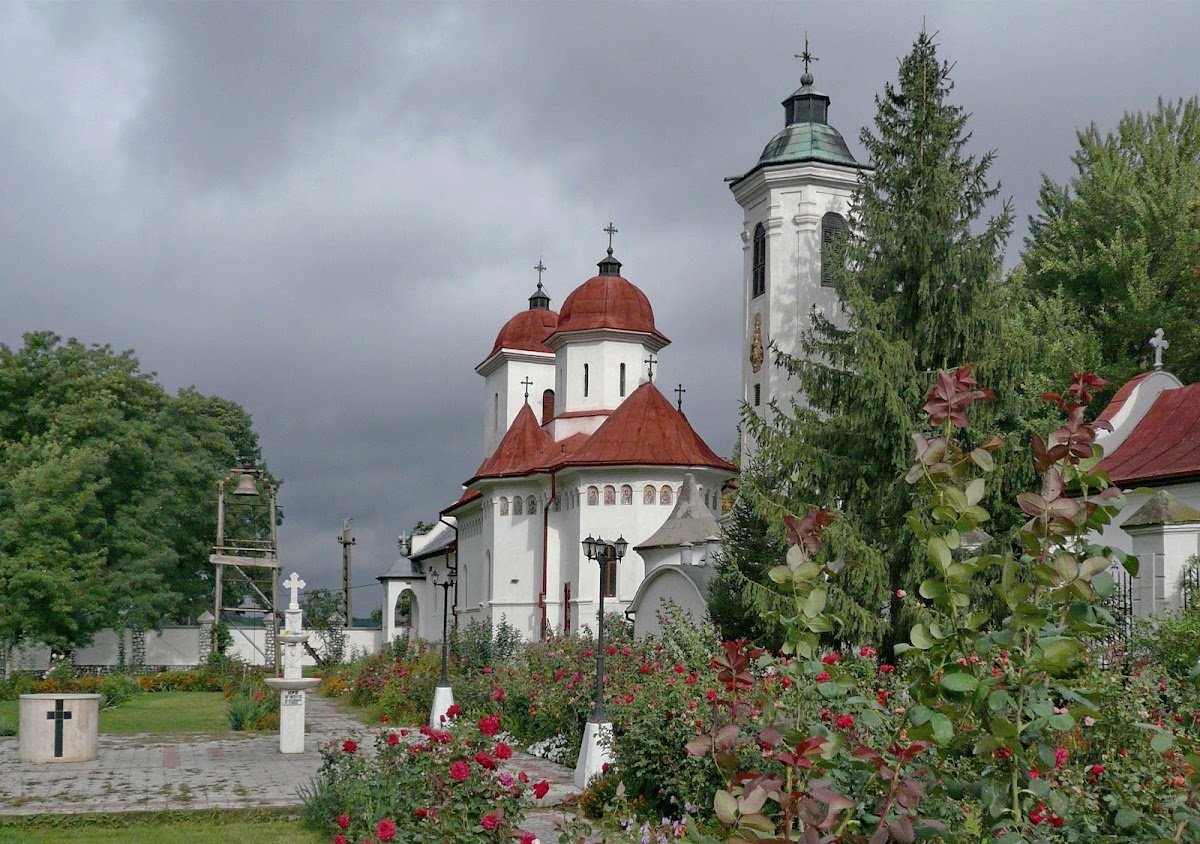 Hodoș-Bodrog Kloster - foto 4