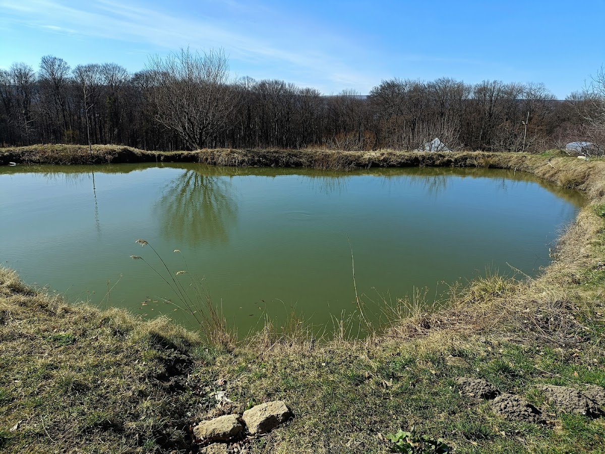 Mănăstirea Lacuri - foto 3