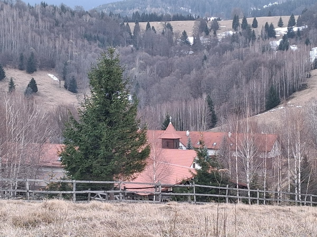 Mănăstirea Măgureni - foto 5