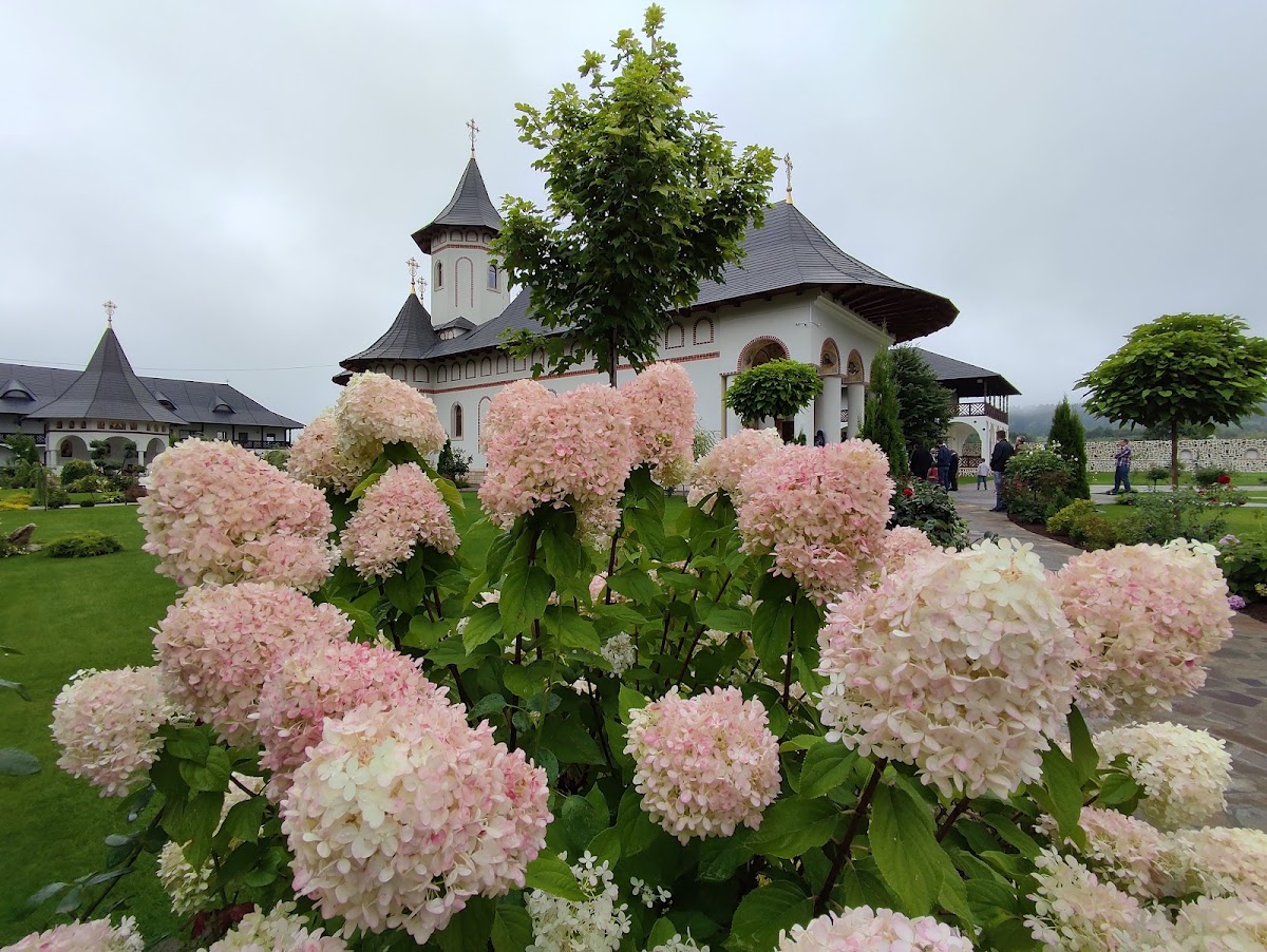 A Szűzanya Születésének Kolostora - foto 5