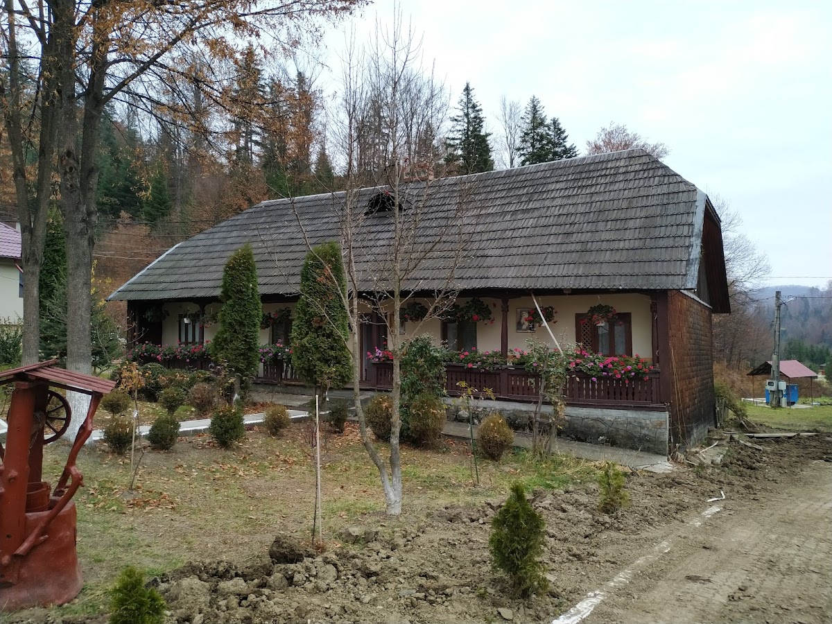 Mănăstirea Nechit - foto 3