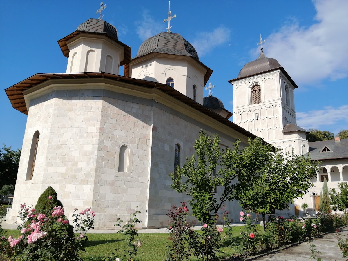 Mănăstirea Negru Vodă - foto 1