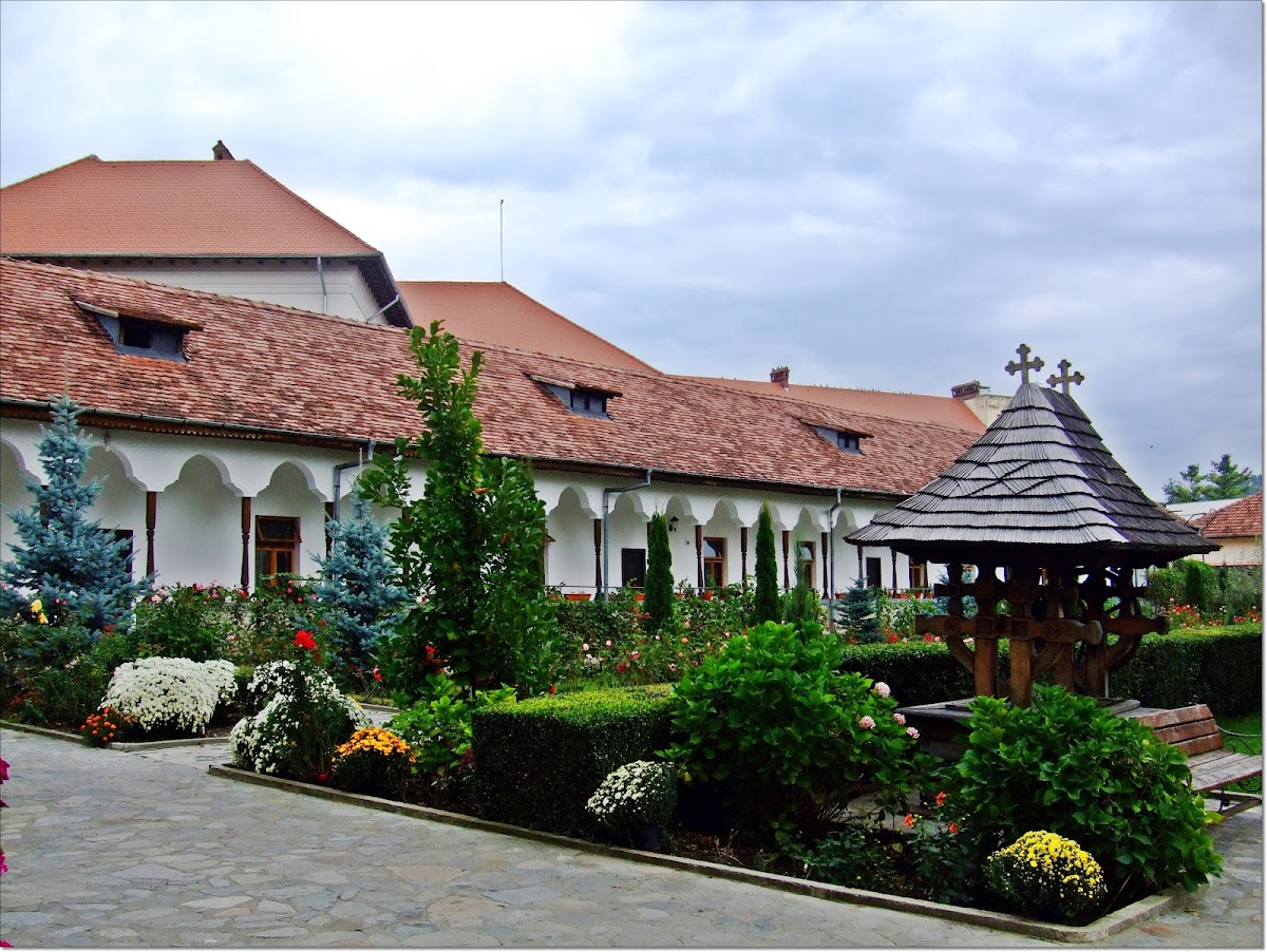 Mănăstirea Negru Vodă - foto 3