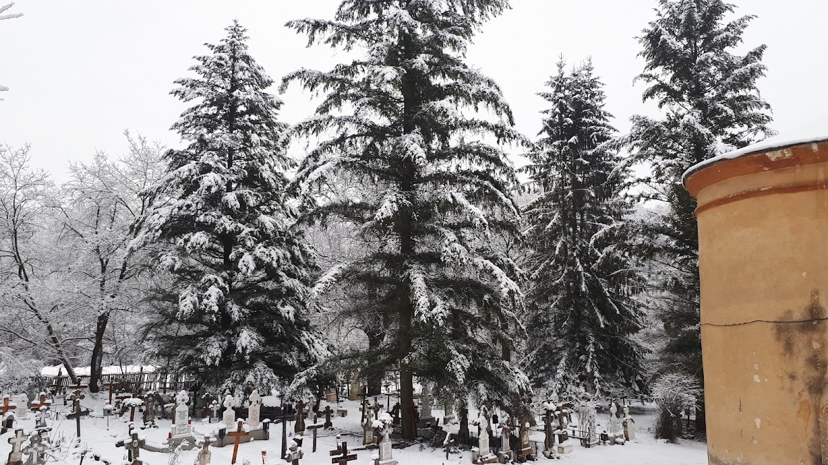 Monastero di Râncăciov - foto 4