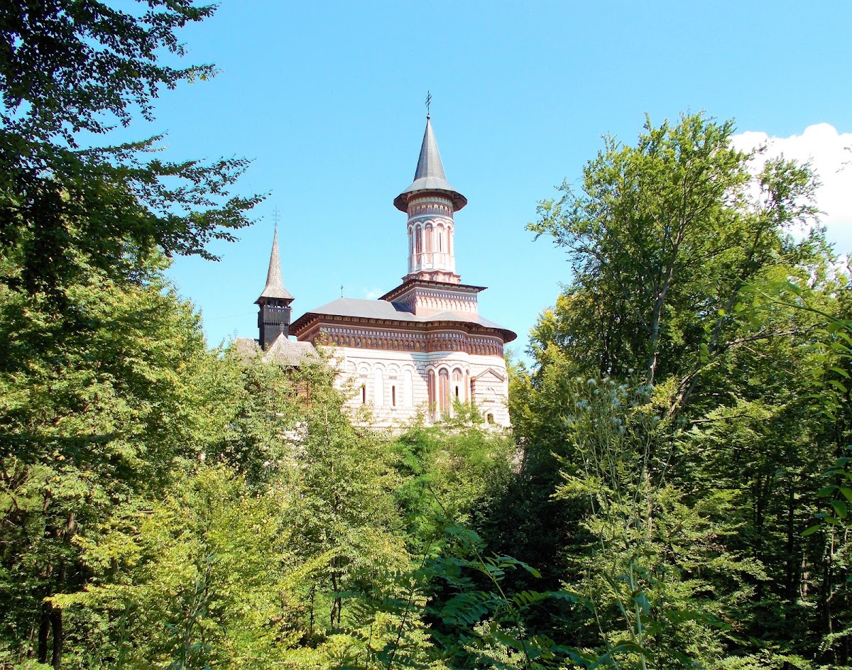 Mănăstirea Rohia - foto 3