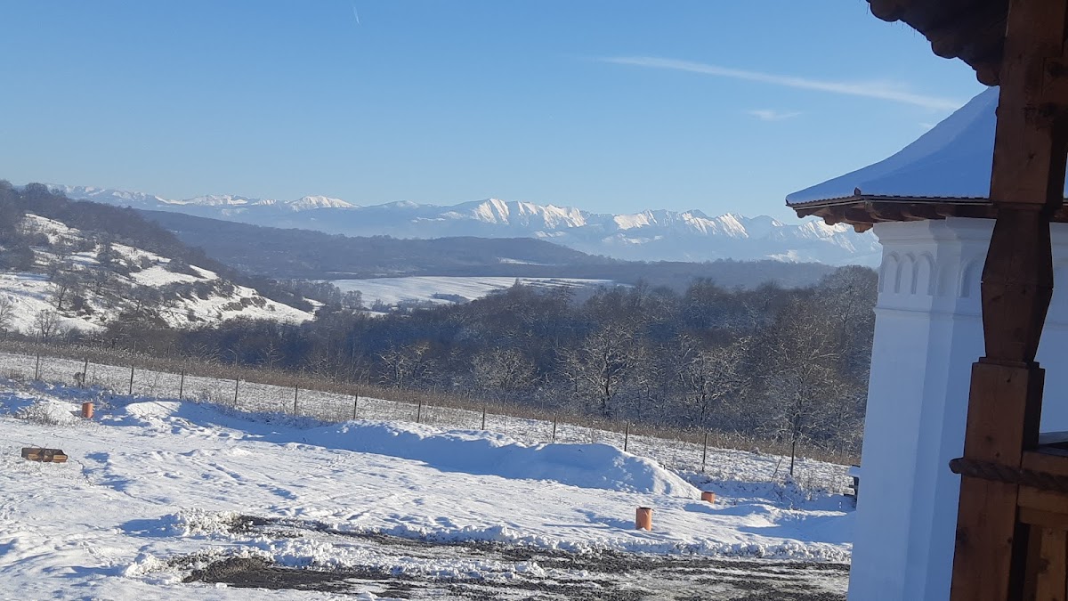 Mănăstirea Săsăuș - foto 4