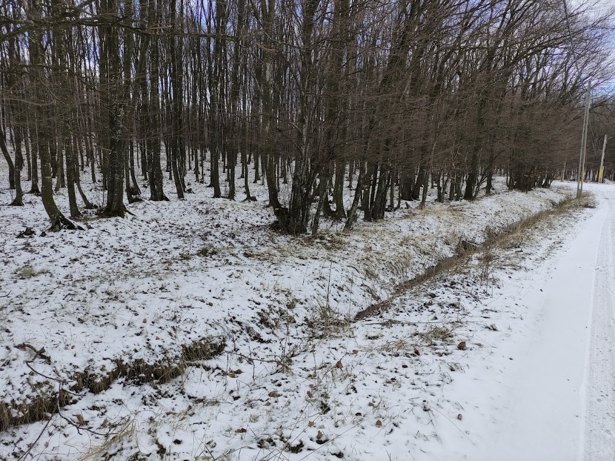 Mănăstirea Sfânta Teodora -Codrii Paşcanilor - foto 3