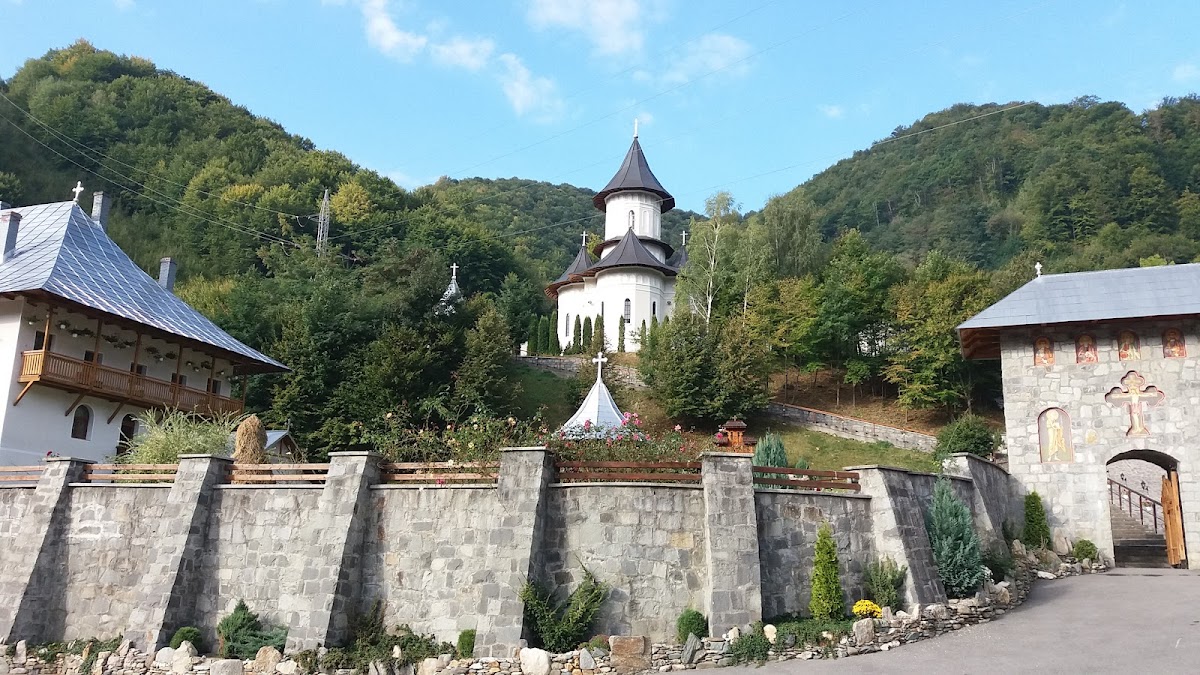 Mănăstirea „Sfinții Apostoli Petru și Pavel” Rebra - foto 2