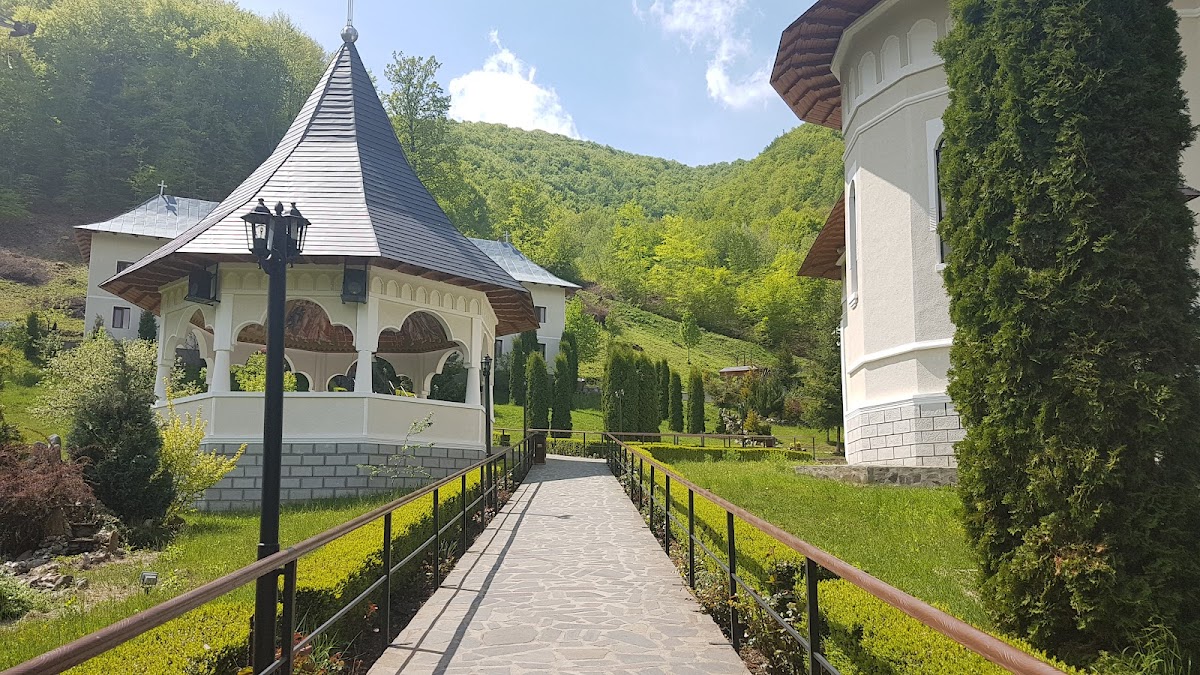 Mănăstirea „Sfinții Apostoli Petru și Pavel” Rebra - foto 3