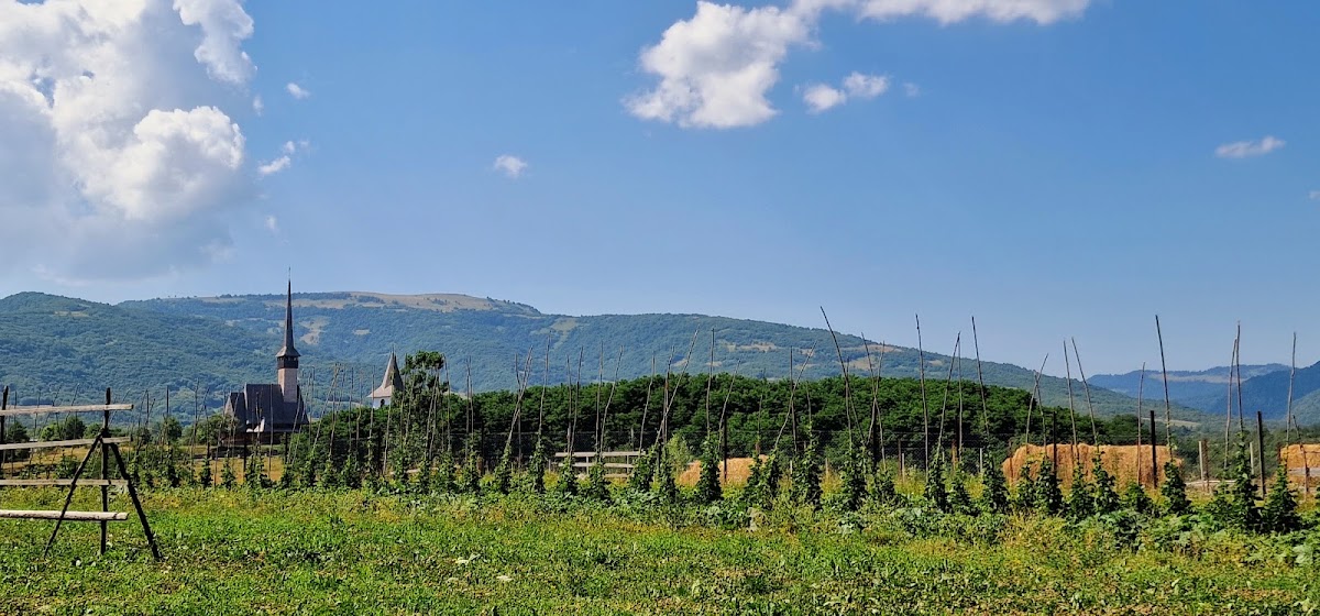 Mănăstirea „Sfinții Trei Ierarhi” - Ieud - foto 4
