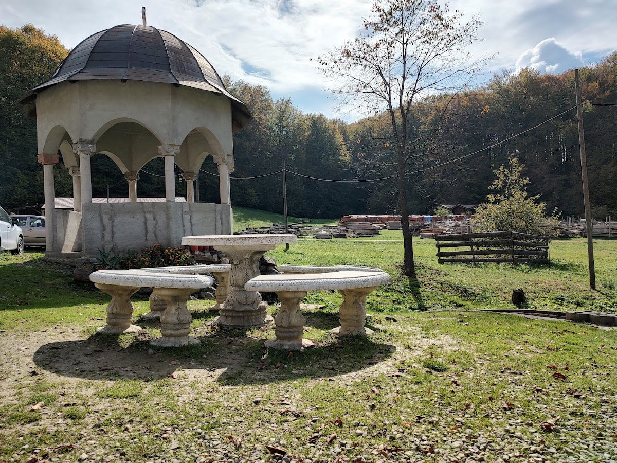 Monastère de Șinca Nouă - foto 3