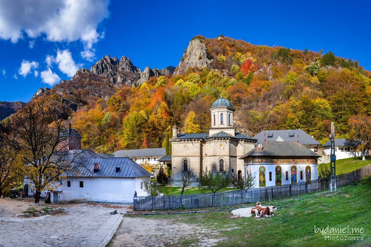 Mănăstirea Stânișoara