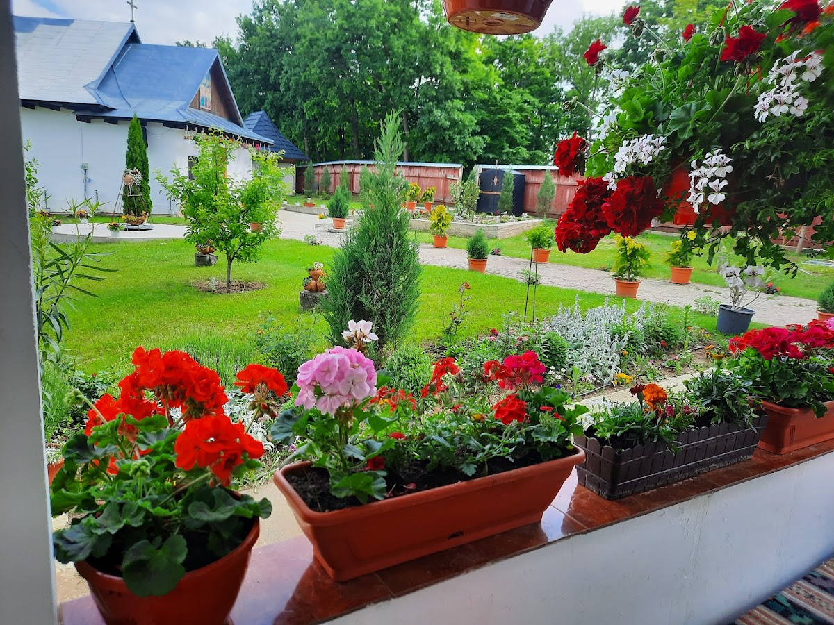 Mănăstirea Stejarul - Falticeni - foto 5