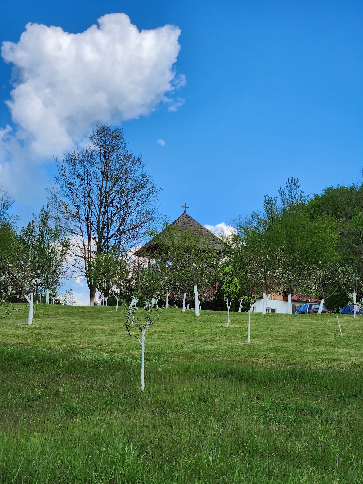 Mănăstirea Ucraineană Sfânta Treime Pereu - foto 3