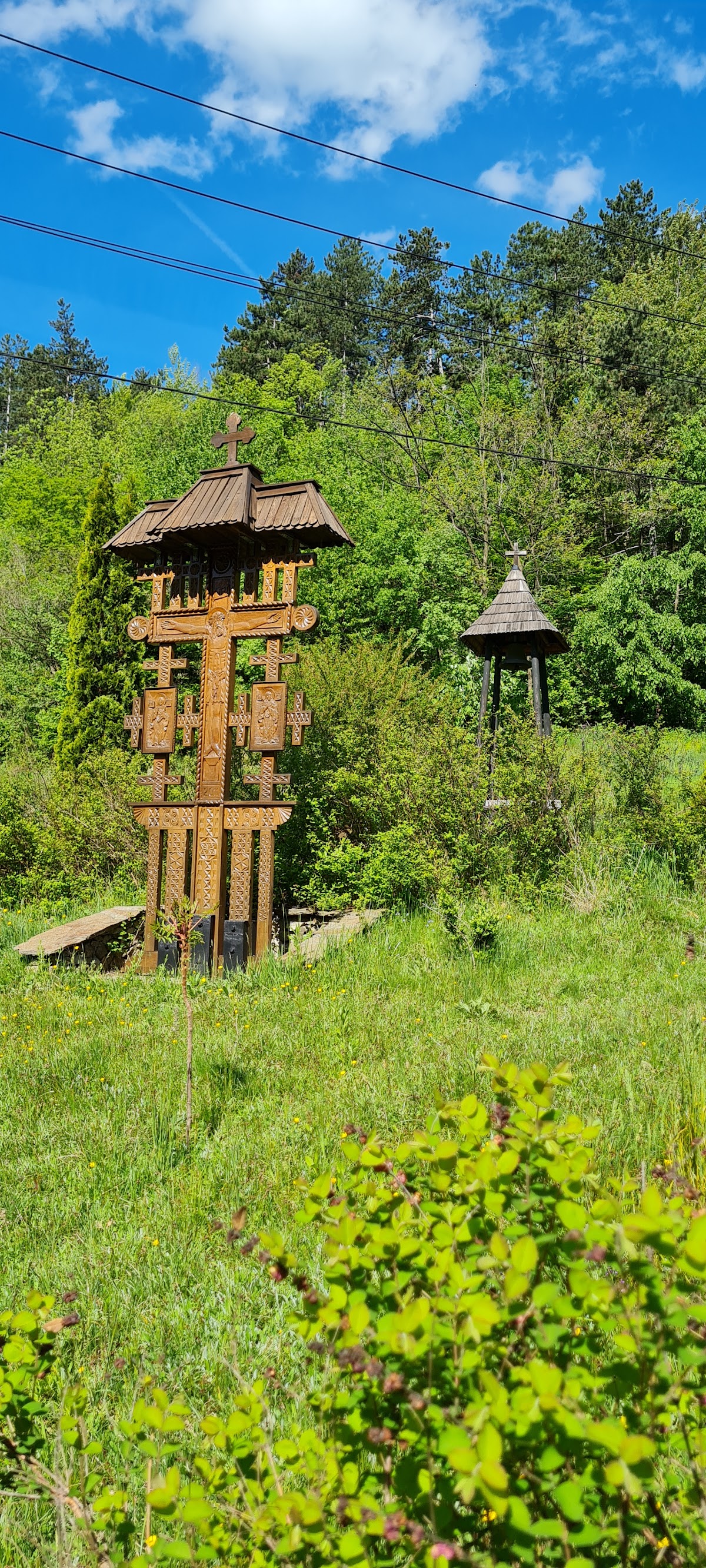 Vişina Monastery - foto 5