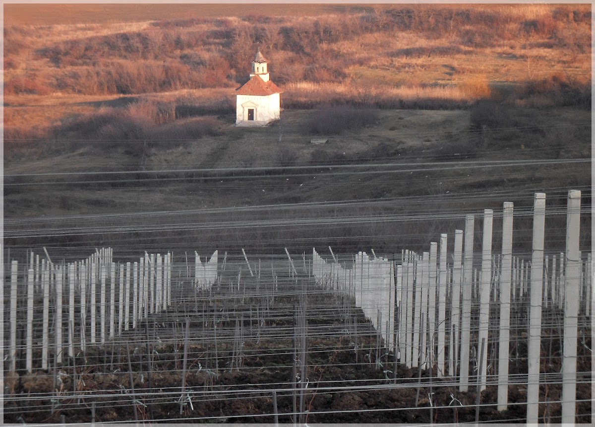 Monastère Vovidenia, Huși - foto 3