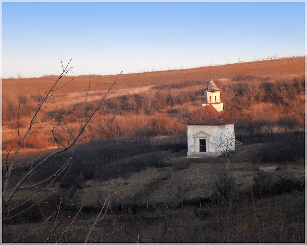 Monastère Vovidenia, Huși - foto 4